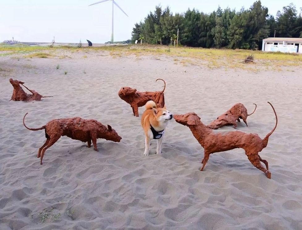 苗南海景藝術節