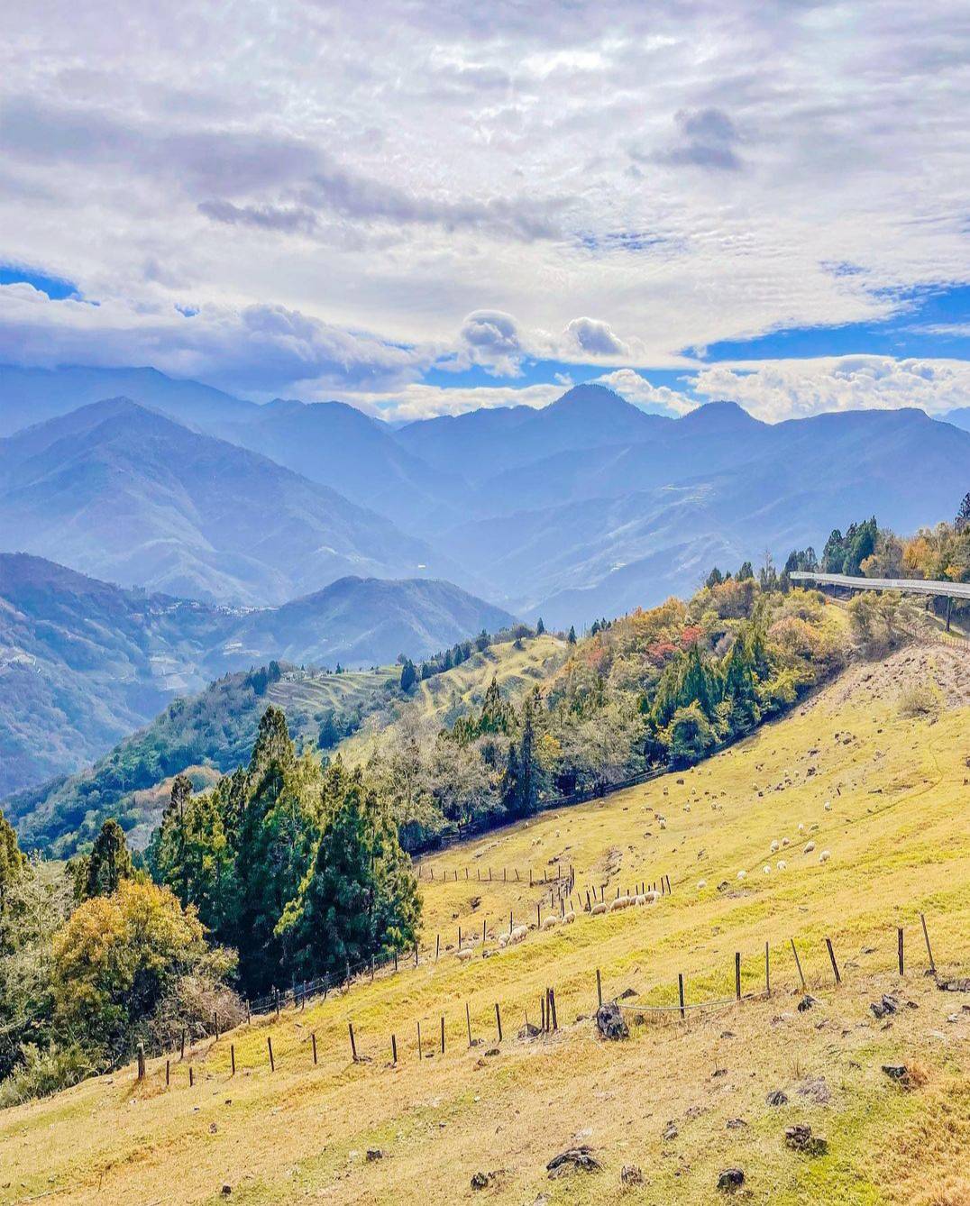 清境高空觀景步道