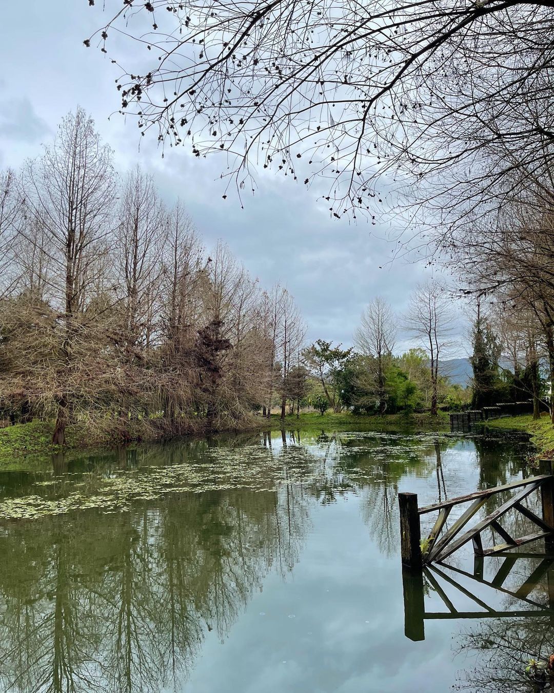 阿德南斯行館 Ardennes Villa