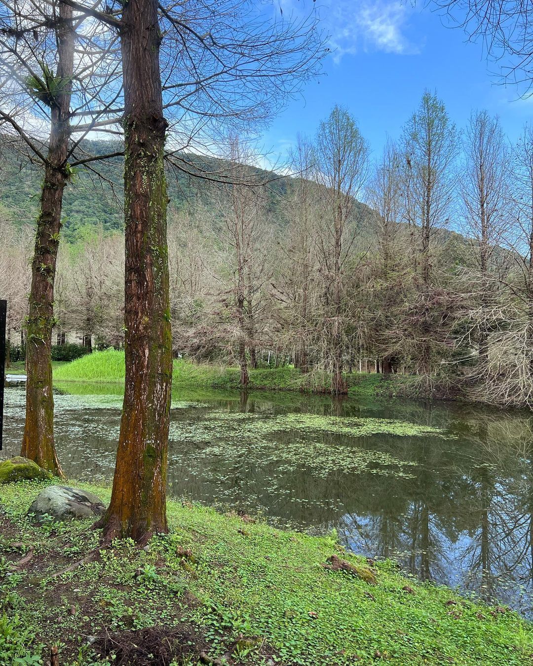 阿德南斯行館 Ardennes Villa