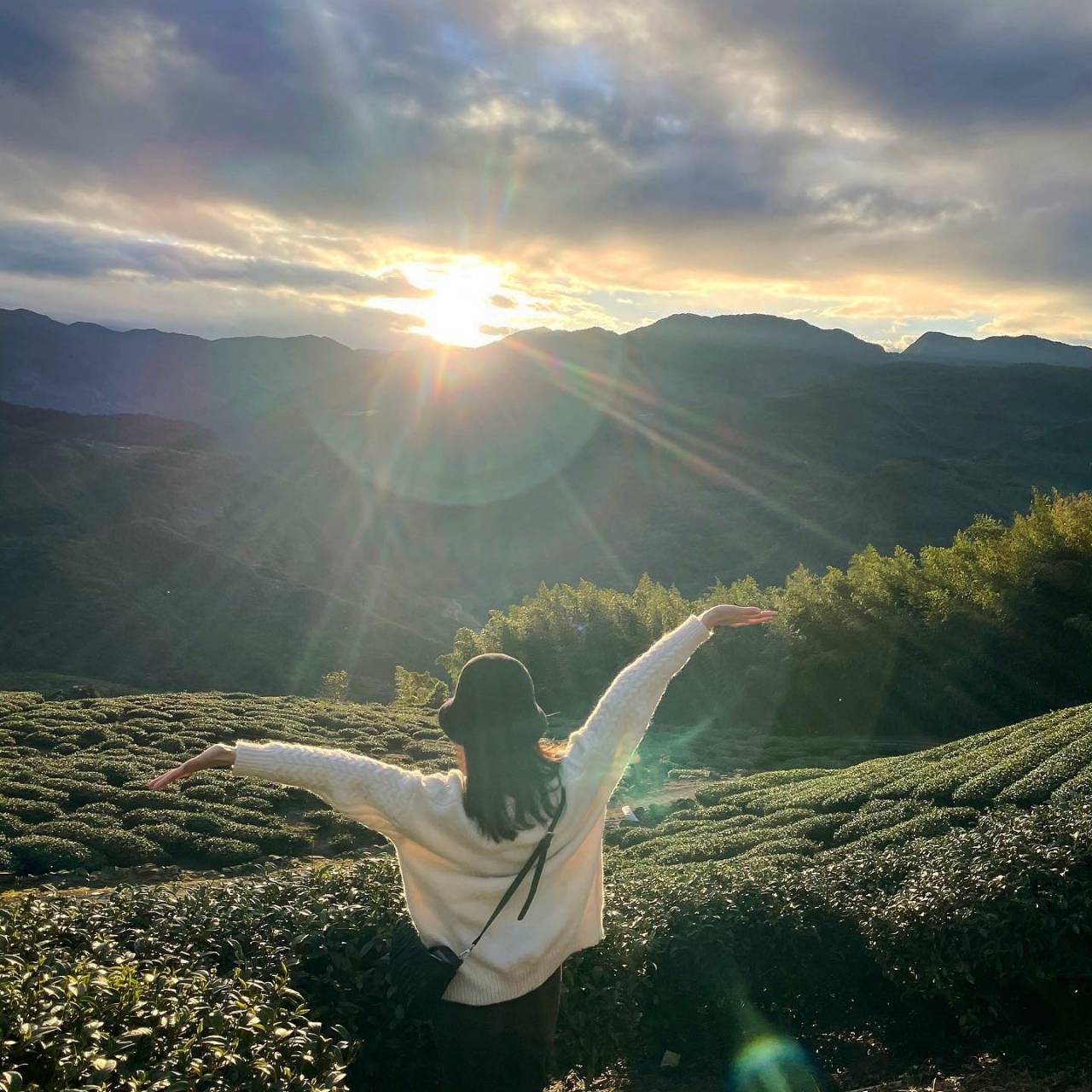 然井茗露 x 阿里山霧很濃