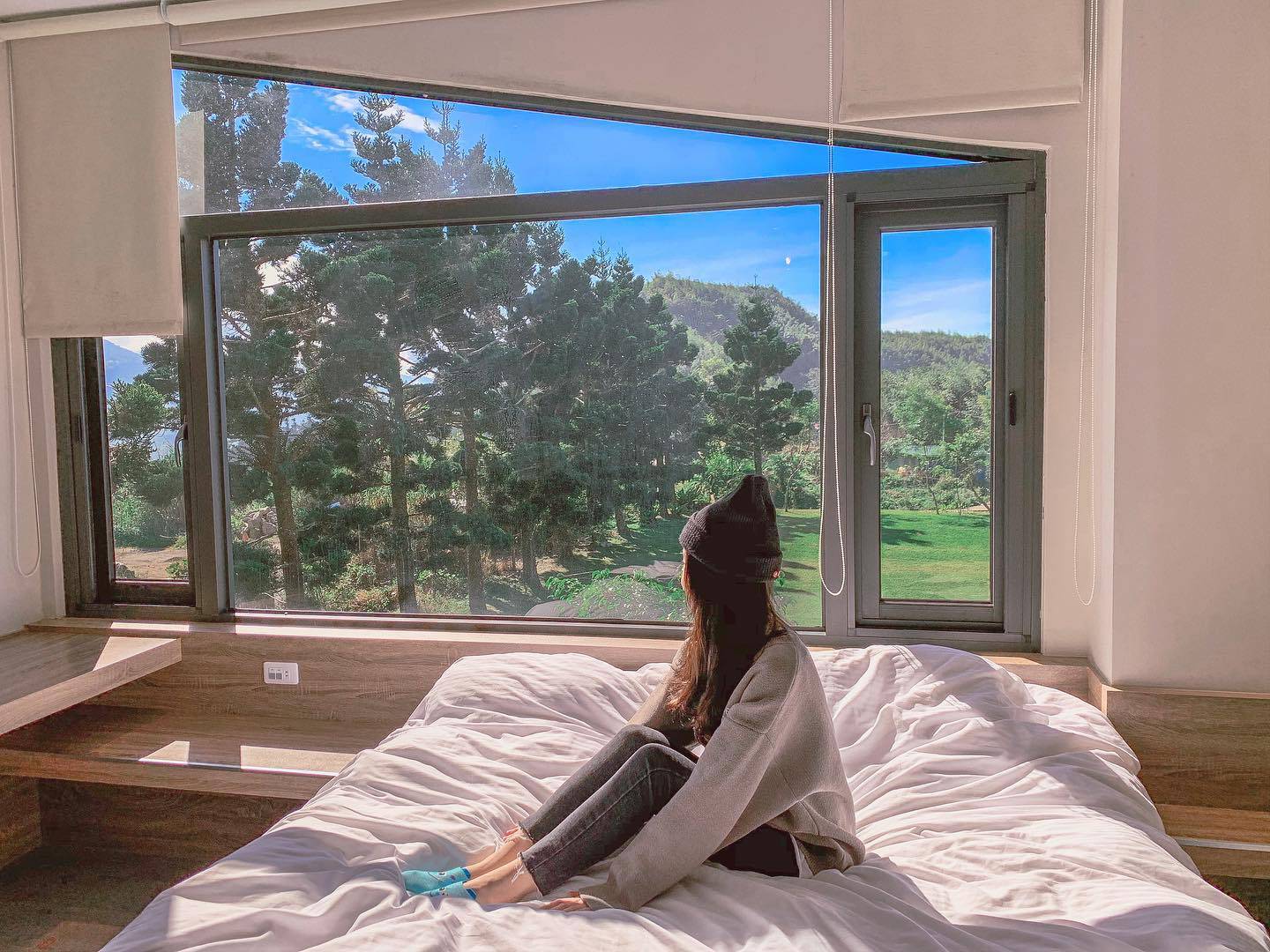 然井茗露 x 阿里山霧很濃