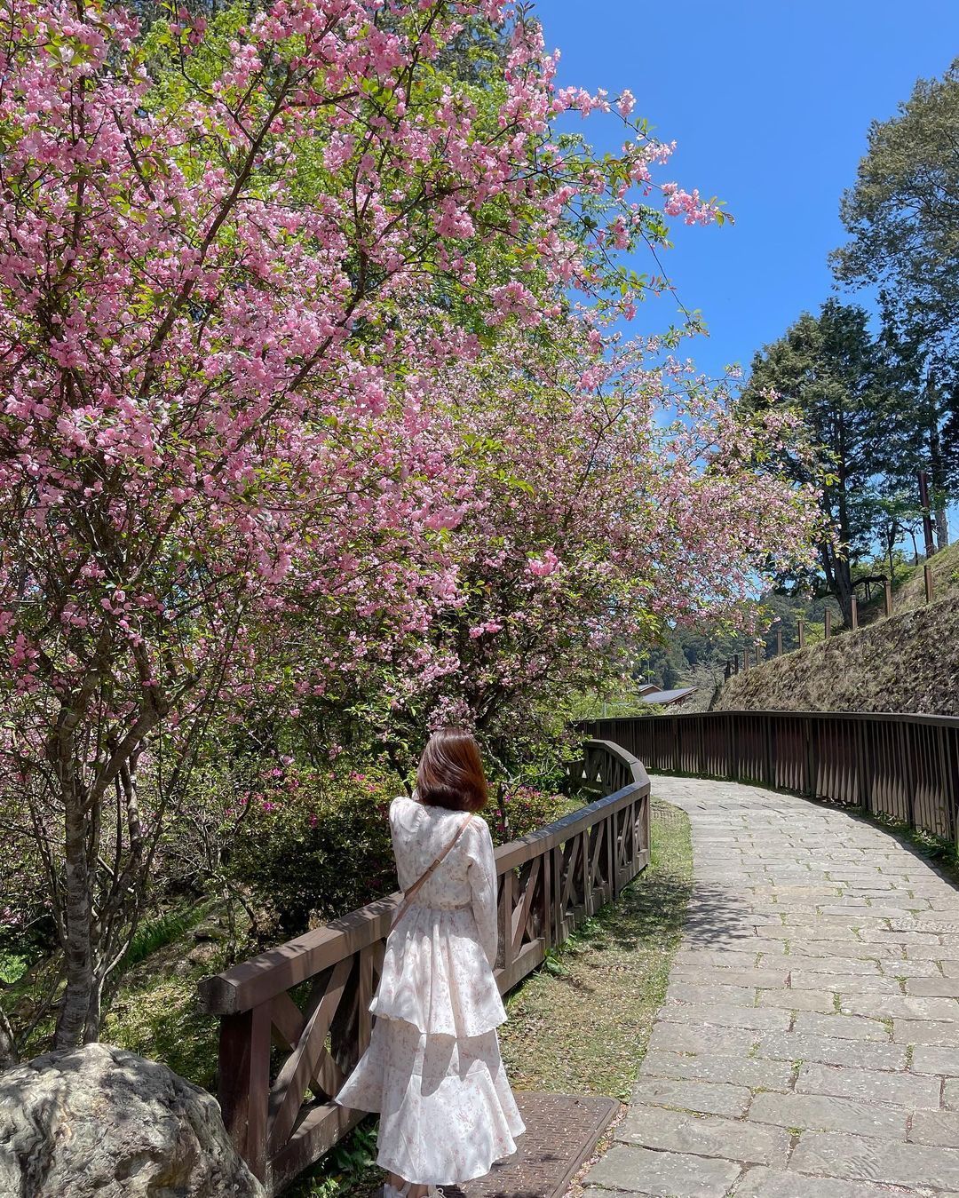 阿里山沼平車站