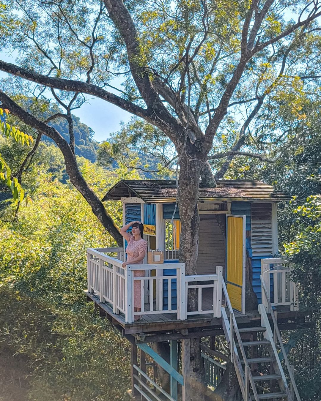 哈比丘茶樹森林,苗栗,銅鑼,苗栗景點,苗栗旅遊,銅鑼景點,親子景點,動物樂園,台灣景點,中部景點,哈比屋