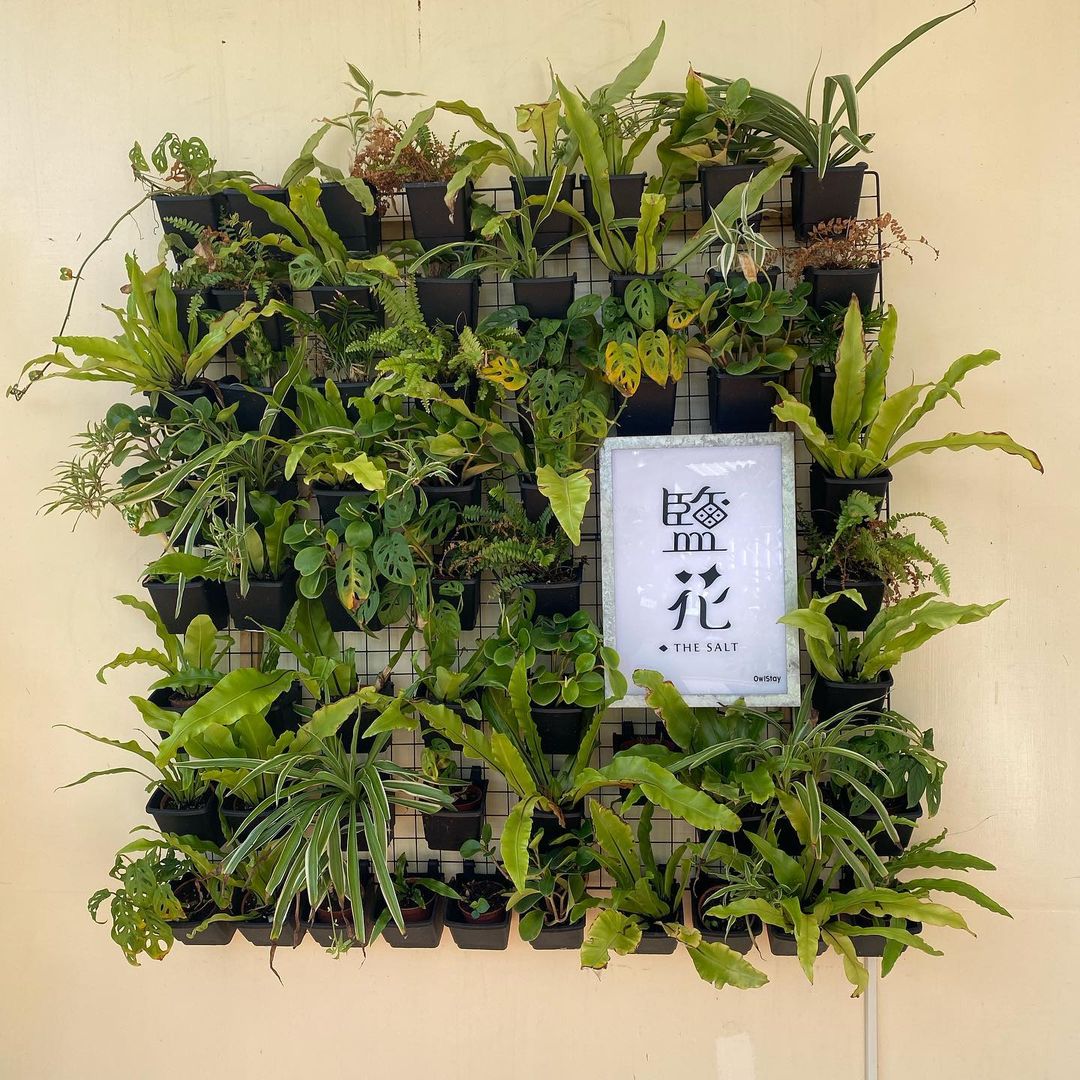 鹽花,the salt,花蓮鹽花,花蓮民宿,花蓮住宿,花蓮旅遊,花蓮,花東,花東住宿,花東民宿,花蓮咖啡廳,台灣民宿,海景民宿