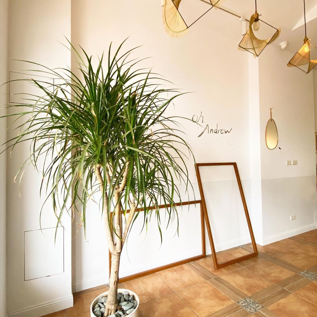 鹽花,the salt,花蓮鹽花,花蓮民宿,花蓮住宿,花蓮旅遊,花蓮,花東,花東住宿,花東民宿,花蓮咖啡廳,台灣民宿,海景民宿