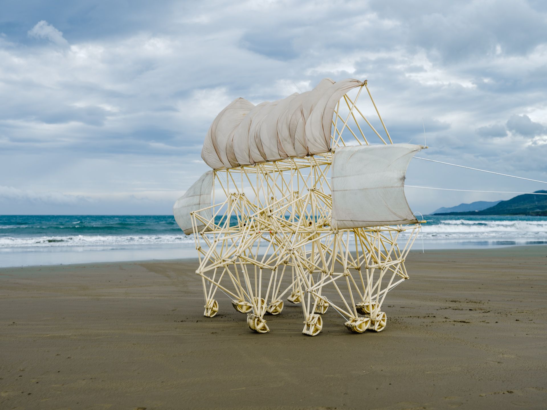 2022屏東落山風藝術季,落山風藝術季,屏東景點,屏東旅遊,藝術季,仿生獸,荷蘭仿生獸,Theo Jansen