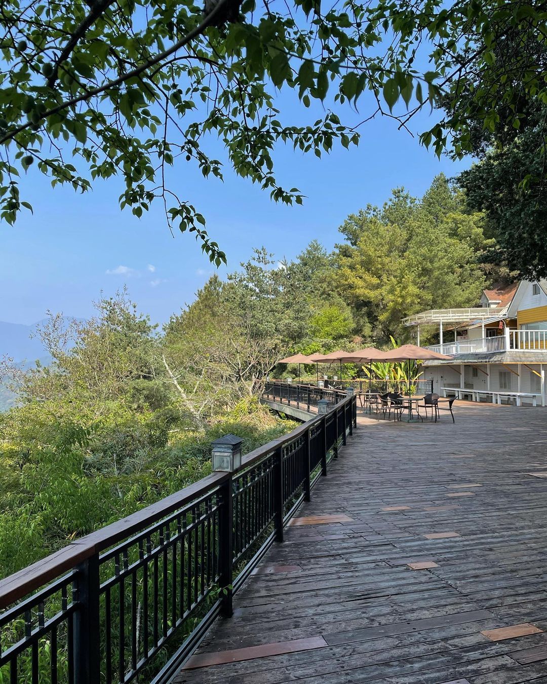  雲的故鄉,南投,南投住宿,南投民宿,南投旅遊,清境,南投清境,清境民宿,清境住宿,山景民宿,山景住宿,雲海