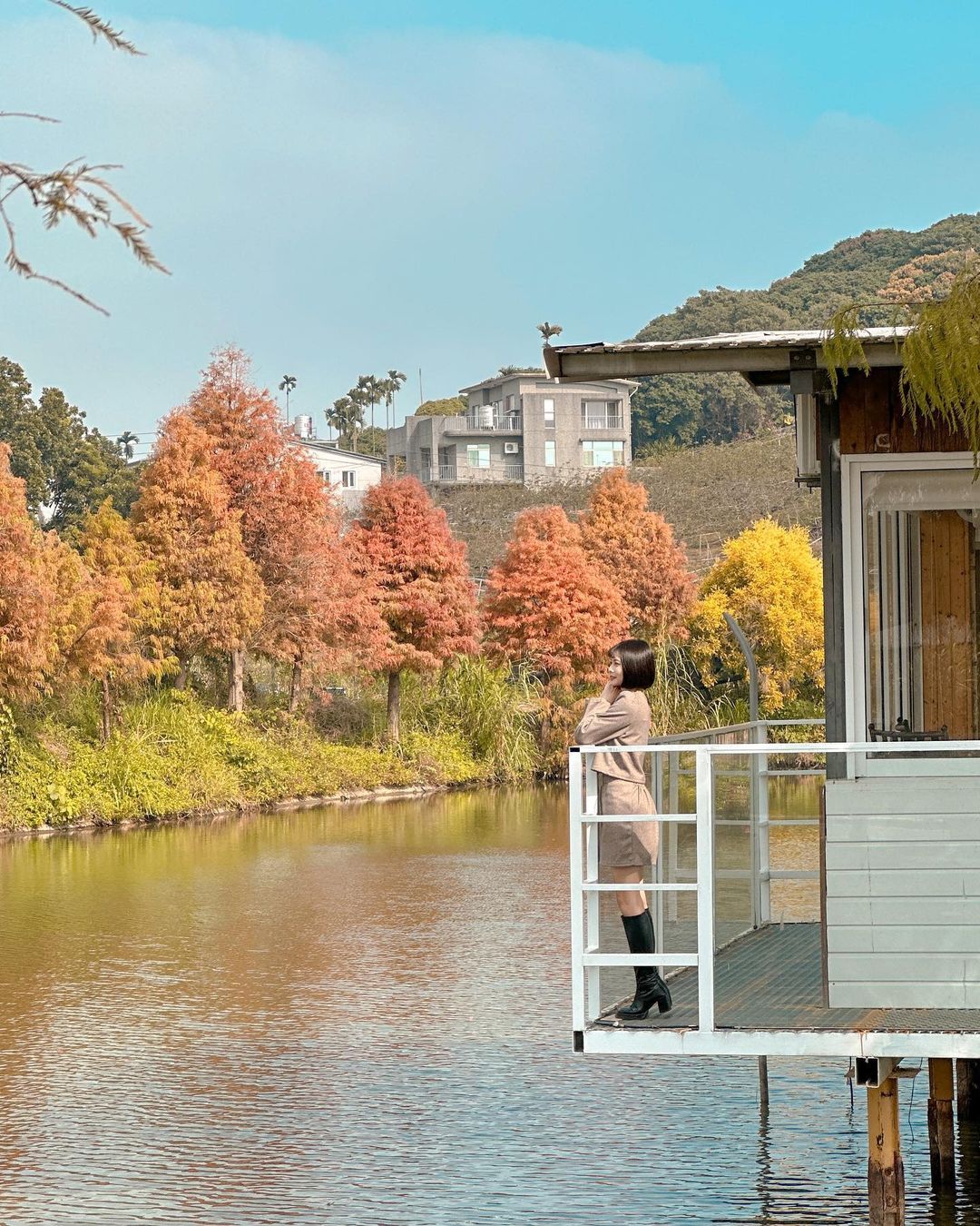 嘉義迷霧松境,迷霧松境,落羽松,落羽松景點,打卡景點,嘉義景點,嘉義,嘉義旅遊,嘉義落羽松秘境,落羽松秘境,台灣景點